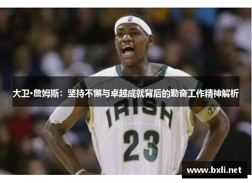 大卫·詹姆斯：坚持不懈与卓越成就背后的勤奋工作精神解析