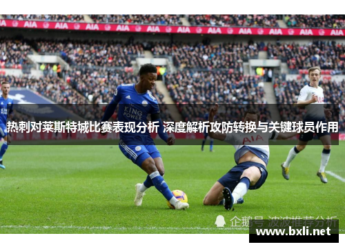 热刺对莱斯特城比赛表现分析 深度解析攻防转换与关键球员作用 热刺对莱斯特城比赛表现分析 深度解析攻防转换与关键球员作用