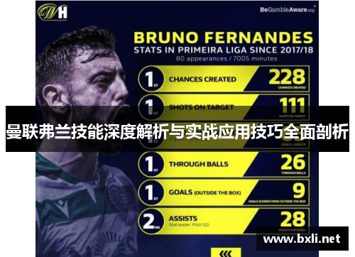 曼联弗兰技能深度解析与实战应用技巧全面剖析