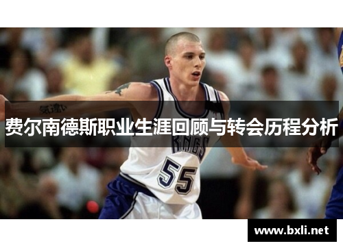 费尔南德斯职业生涯回顾与转会历程分析